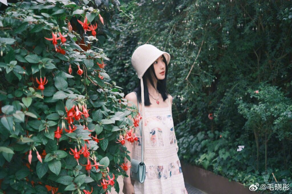 "包养礼物风险"